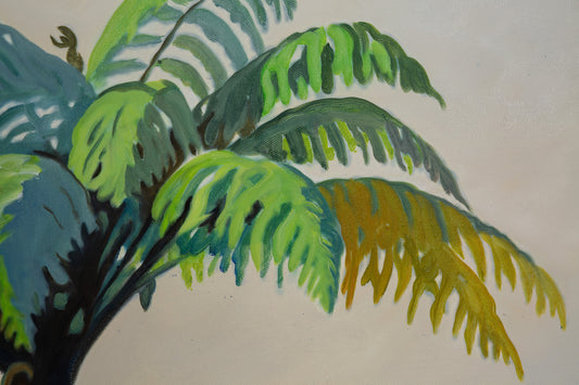 NZ Tree Fern