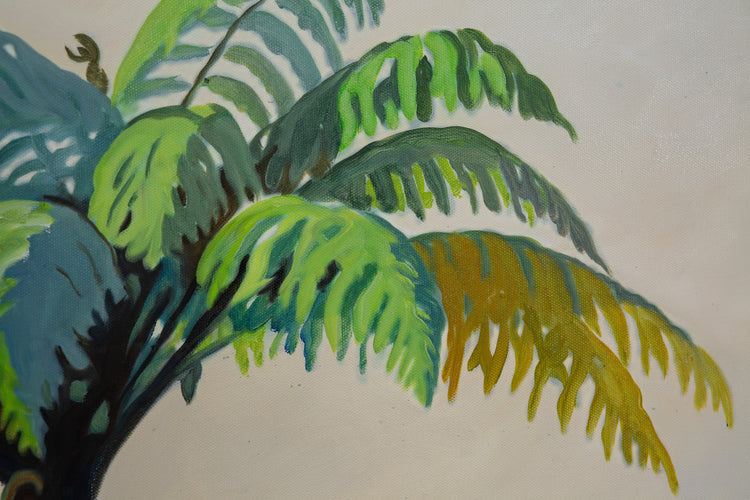 NZ Tree Fern